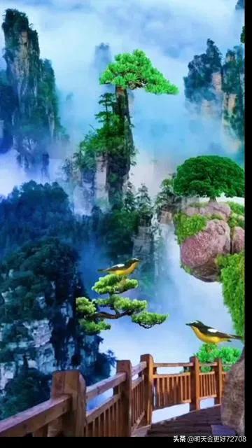 探索一百米11.5二百米23.7哪个更好一些?知识星球,丰富你的学习旅程!