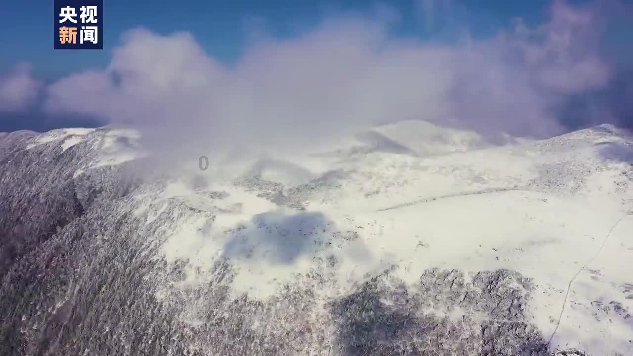 铲屎官堆了个雪人想给狗子一个惊喜,没想到吓退“四壮汉”...