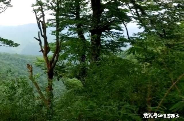 知情人士:贵州茅台目前没有继续开发二十四节气系列酒的计划