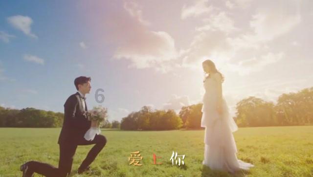 省人大代表李新跨界创新助推中原农谷发展