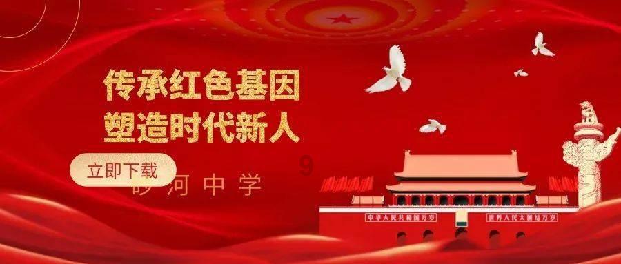 猫下巴那一堆黑点是什么
