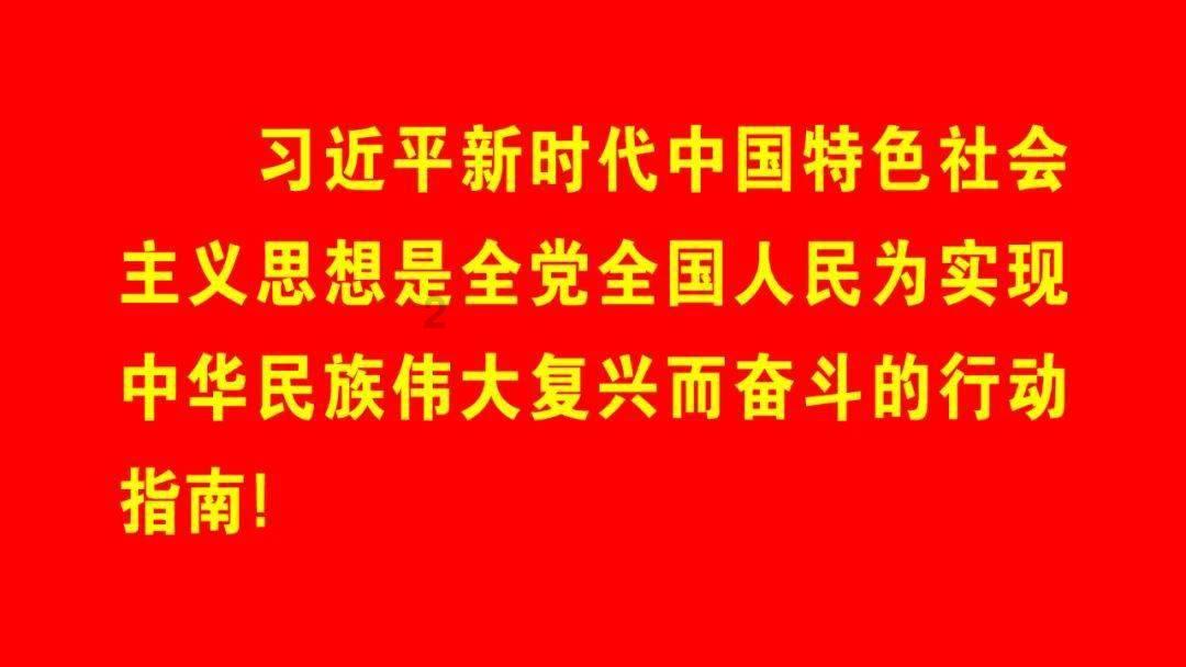 赏金猎人团