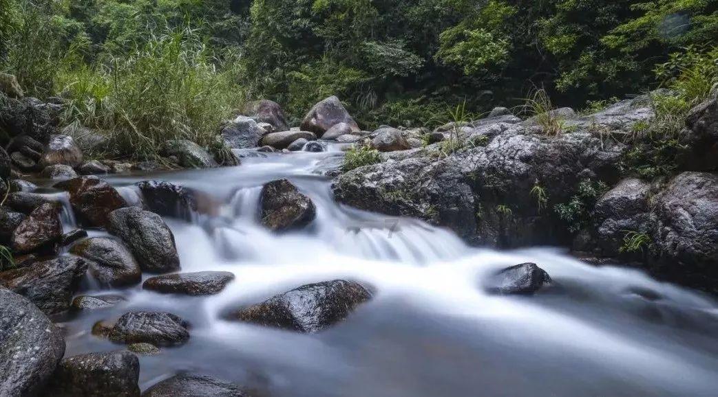 御龙在天手游