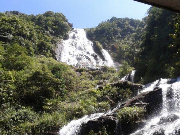 清凉夏日冰淇淋