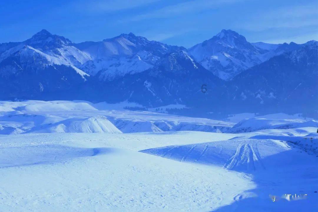 还能防弹?特斯拉赛博越野旅行车亮相重庆