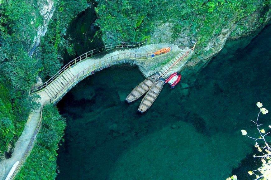 逃离梦想花园